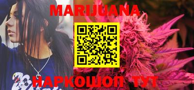 сатива Новозыбков