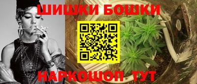 сатива Новозыбков
